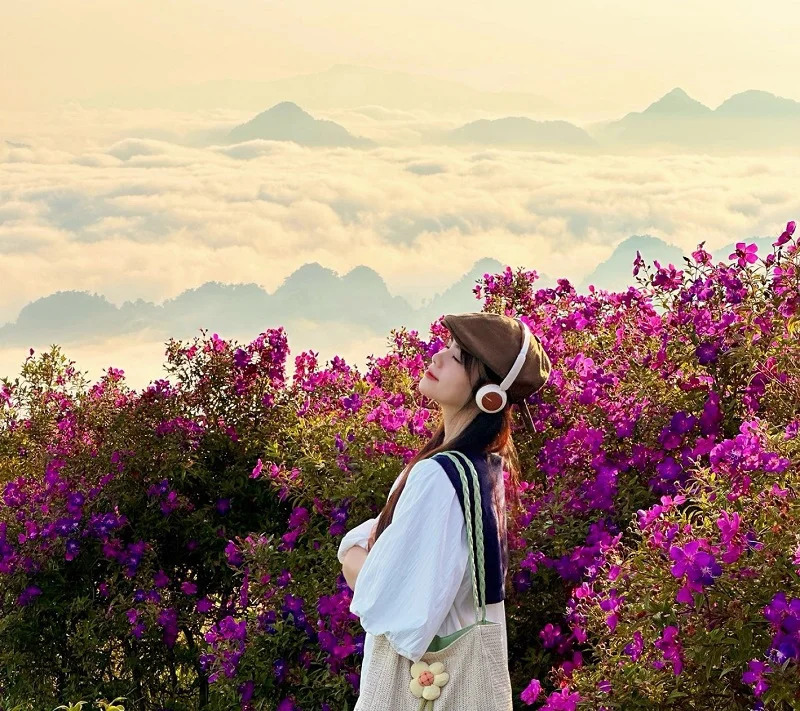 Du lịch Mộc Châu 2 ngày 1 đêm ngắm cao nguyên giữa mây trời Tây Bắc 8