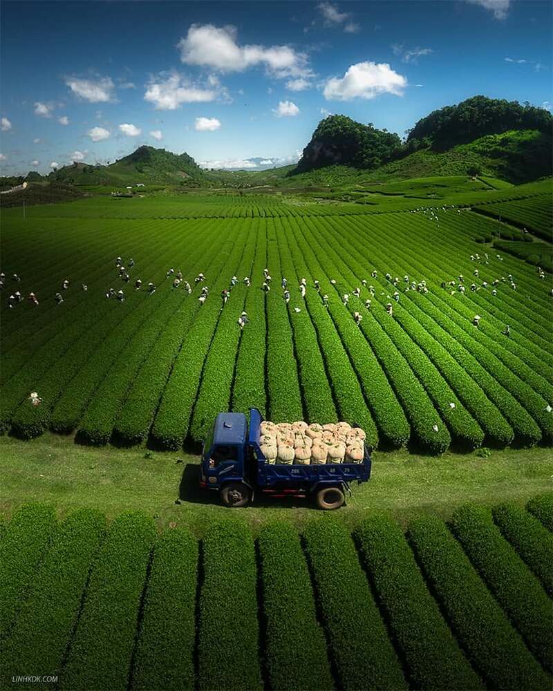 Du lịch Mộc Châu tháng 7, trốn nóng hè về với cao nguyên xanh 3