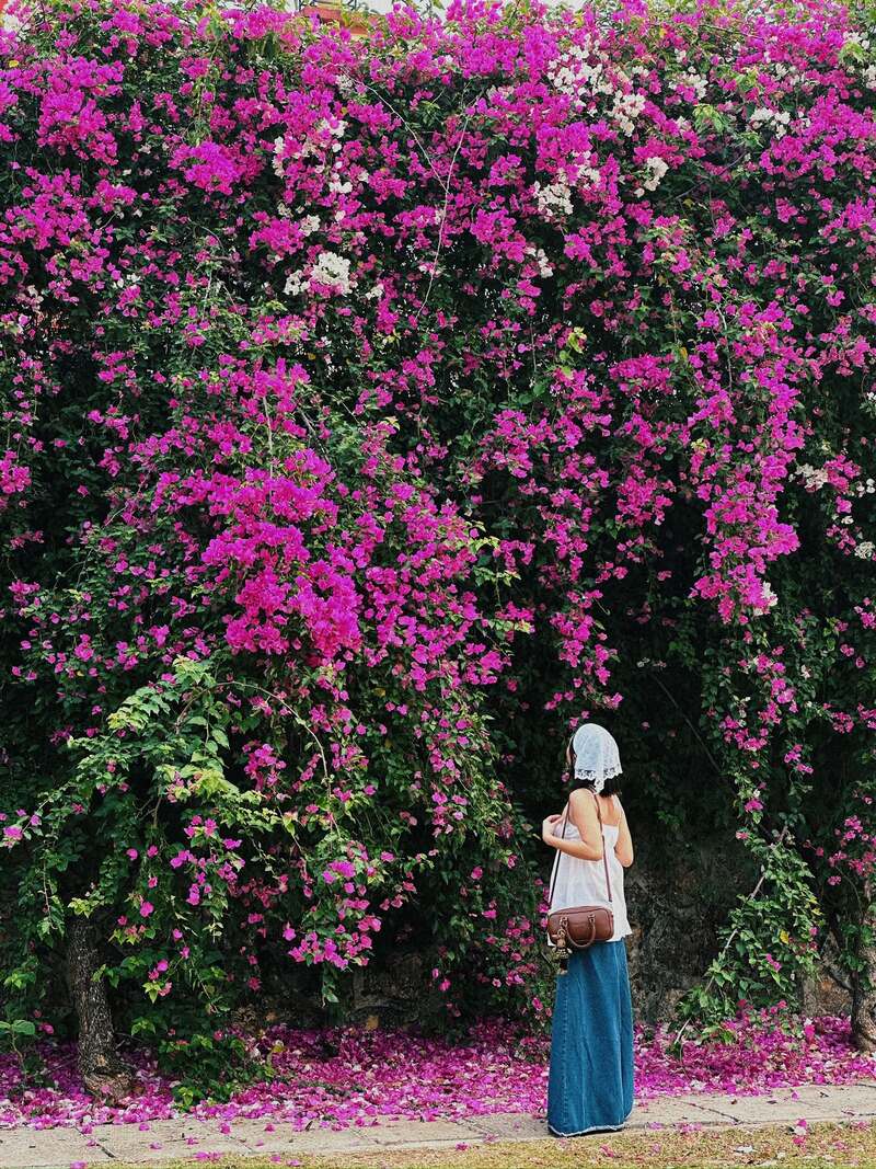 Du lịch Mộc Châu tháng 7, trốn nóng hè về với cao nguyên xanh 2