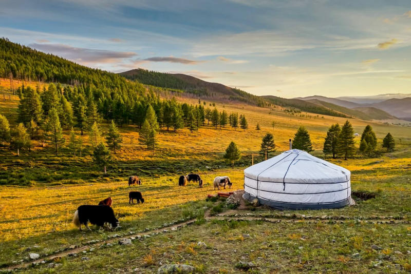Bí kíp du lịch Mông Cổ và những trải nghiệm không được bỏ lỡ 4