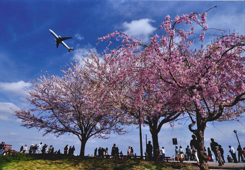 Du lịch Narita, khám phá thành phố cổ kính của xứ sở Phù Tang 8