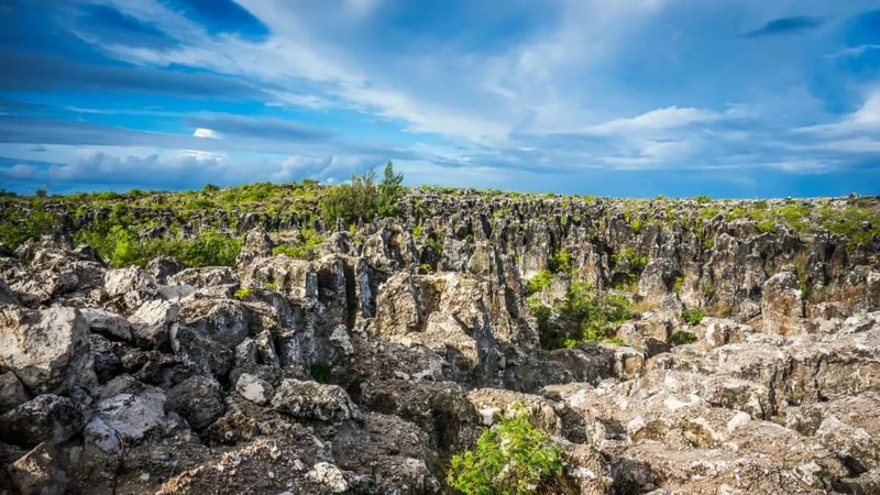 Du lịch khám phá quốc đảo Nauru nhỏ nhất thế giới 7
