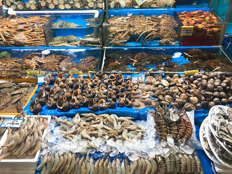 Du lịch Nha Trang tháng 7 với biển xanh, nắng vàng 12