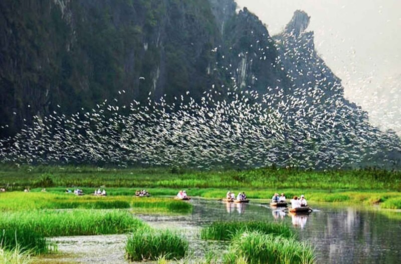 Khám phá du lịch Ninh Bình tháng 7, săn ảnh mùa sen nở Cố đô 6
