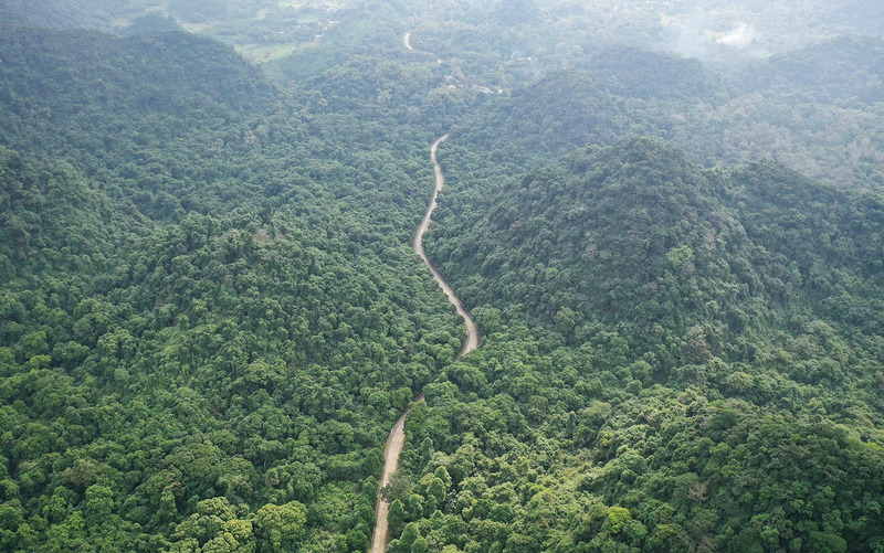 Khám phá du lịch Ninh Bình tháng 7, săn ảnh mùa sen nở Cố đô 7