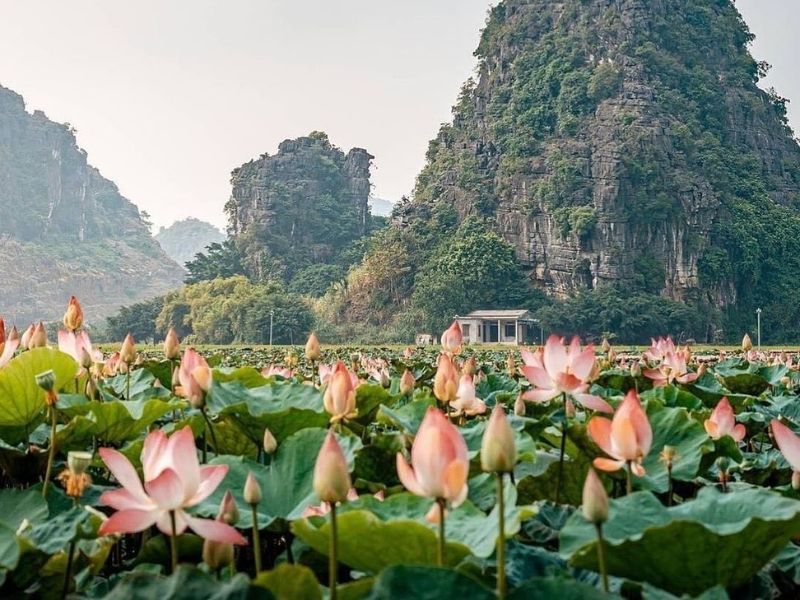 Du lịch Ninh Bình tháng 7 tự túc: Thời tiết, điểm du lịch và ăn uống 3