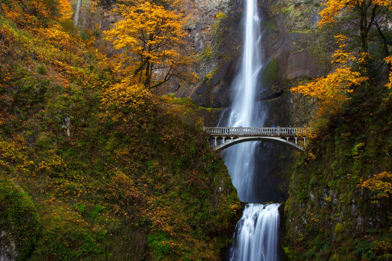Ghé thăm Oregon, viên ngọc xanh của vùng Tây Bắc nước Mỹ 9