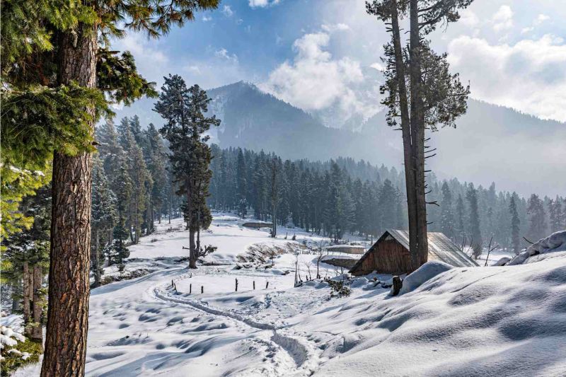 Du lịch Pahalgam thung lũng chăn cừu đẹp ngoạn mục tại vùng Kashmir 3