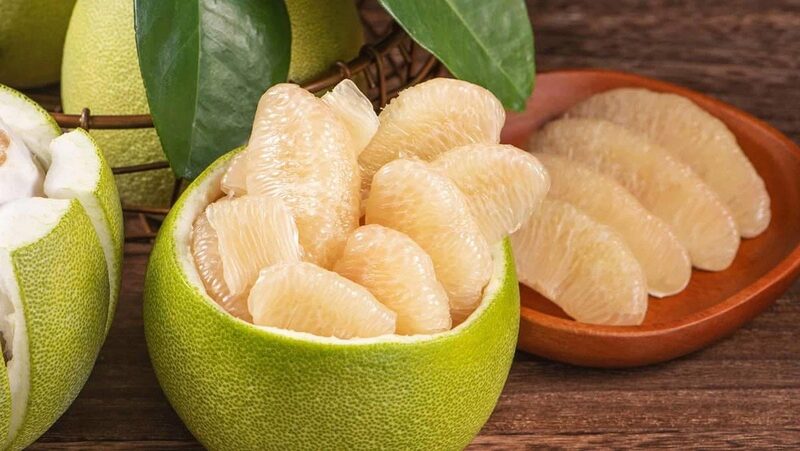 Kinh nghiệm du lịch Phú Thọ chi tiết 2025 với 12 điểm đến 22
