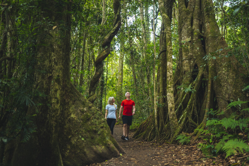 Ghé thăm Queensland, chạm vào vẻ đẹp hoang sơ nơi thiên đường nhiệt đới 11