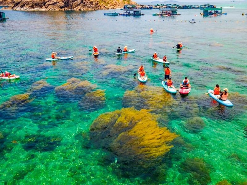 Du lịch Quy Nhơn tháng 8: Khám phá biển xanh và điểm check-in nổi tiếng 5