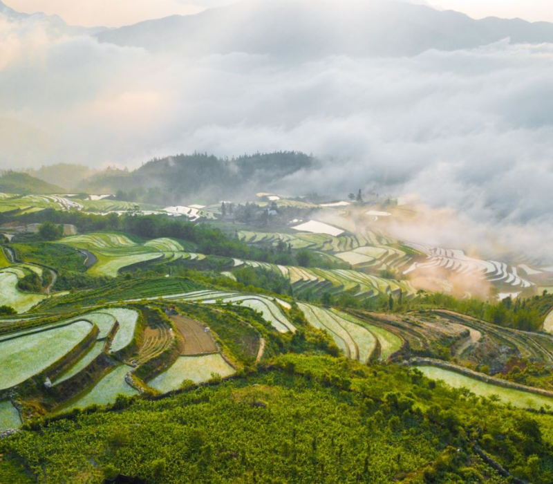 Du lịch Sapa tháng 6: Cẩm nang trốn nóng và săn mùa nước đổ 9