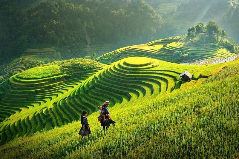 Kinh nghiệm du lịch Sapa tháng 8, săn mây đại ngàn và lúa non xanh mướt 3