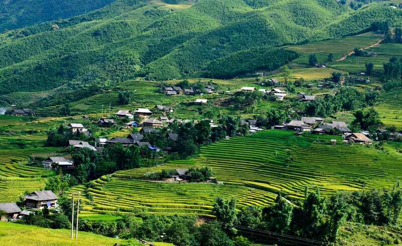 Kinh nghiệm du lịch Sapa tháng 8, săn mây đại ngàn và lúa non xanh mướt 4