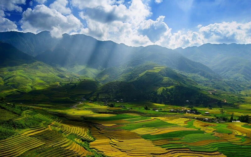 Kinh nghiệm du lịch Sapa tháng 8, săn mây đại ngàn và lúa non xanh mướt 2