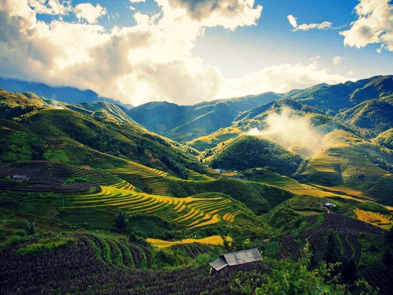 Kinh nghiệm du lịch Sapa tháng 8, săn mây đại ngàn và lúa non xanh mướt 5