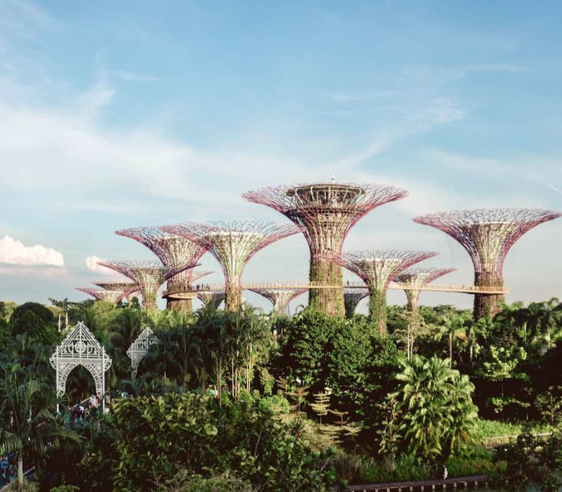 Du lịch Singapore 4 ngày 3 đêm: Lịch trình chinh phục đảo quốc sư tử 2