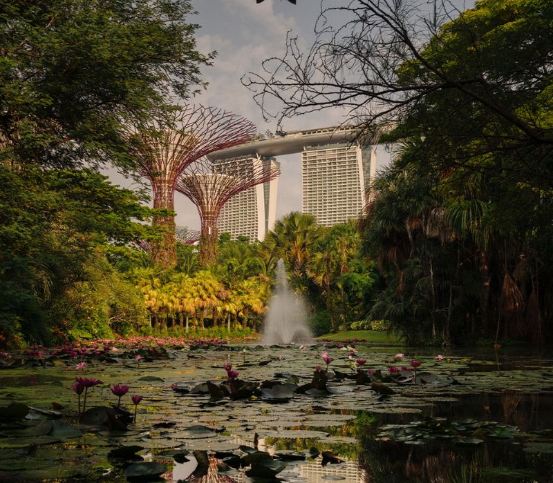 Du lịch Singapore 4 ngày 3 đêm: Lịch trình chinh phục đảo quốc sư tử 17