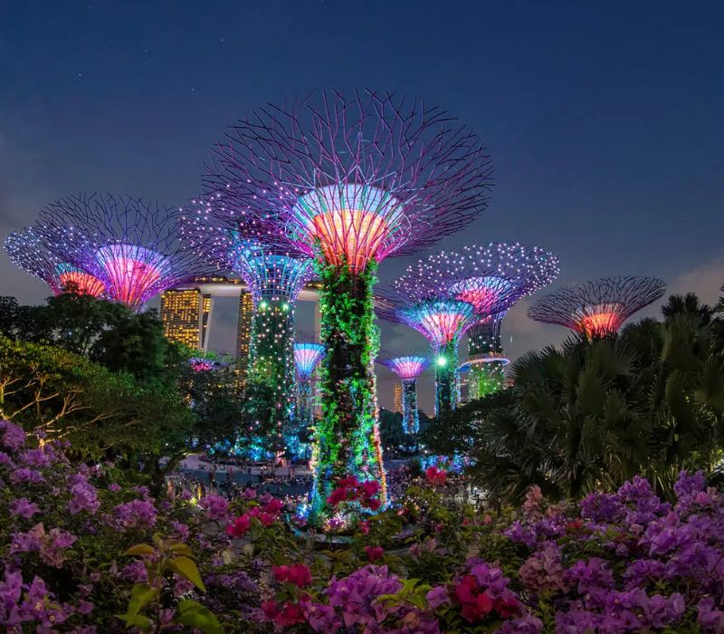 Du lịch Singapore tháng 7: Cẩm nang ăn chơi, săn sale và trải nghiệm từ A - Z 5