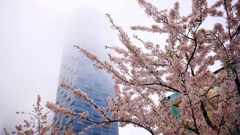 Du lịch Songdo Hàn Quốc, thành phố thông minh đầu tiên trên thế giới 4