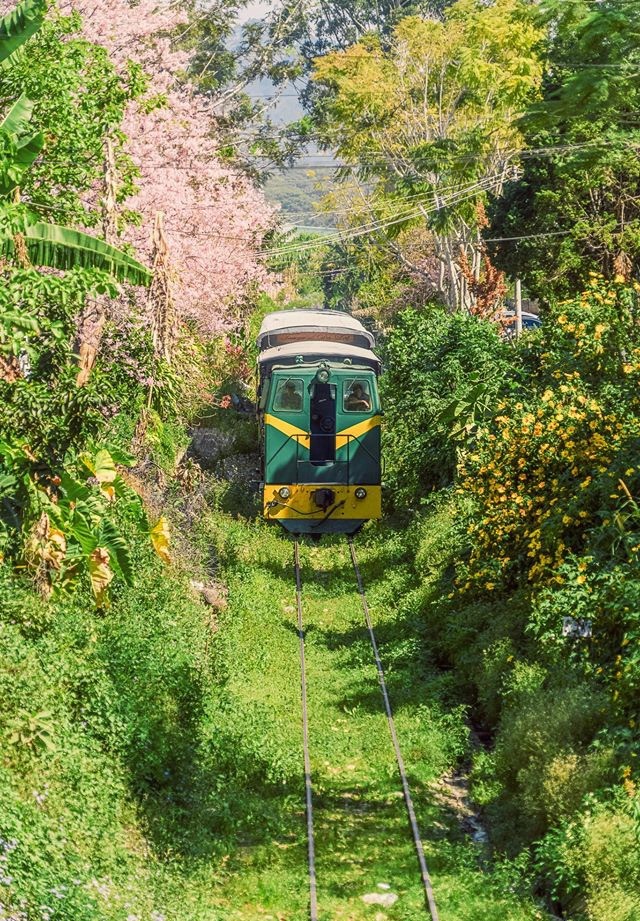 Kinh nghiệm du lịch tàu hỏa trên những cung đường sắt đẹp nhất Việt Nam 3