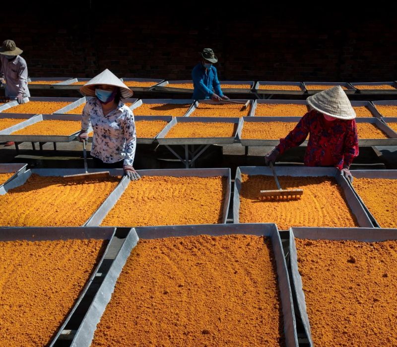 Du lịch Tây Ninh 2 ngày 1 đêm: Lịch trình vi vu cực xịn 7