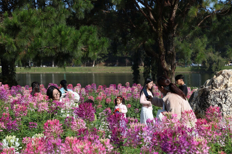 Du lịch tháng 6 cùng những điểm đến rực rỡ nhất 11