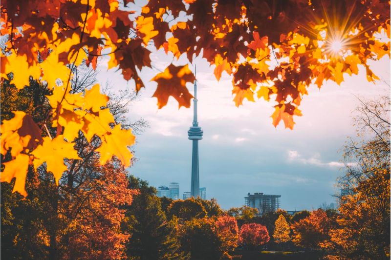 Toronto thành phố đông dân đa văn hóa hàng đầu thế giới 14