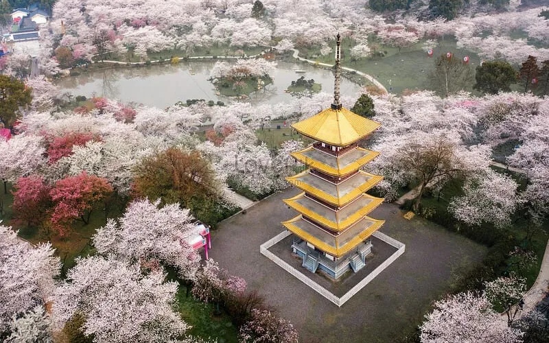 Kinh nghiệm du lịch Vũ Hán từ địa điểm đến ẩm thực hấp dẫn 3