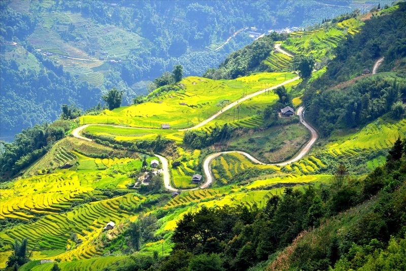Review du lịch Y Tý Lào Cai chạm tay vào biển mây miền biên viễn 6