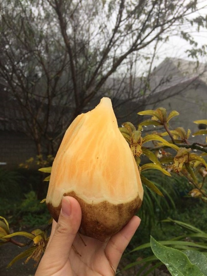 Review du lịch Y Tý Lào Cai chạm tay vào biển mây miền biên viễn 10