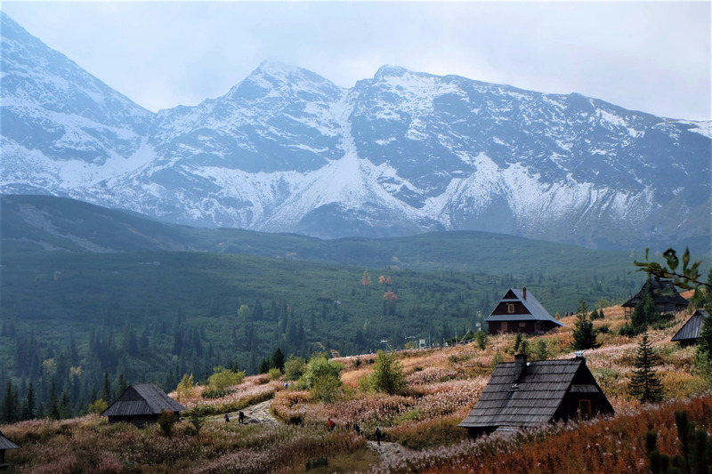 Khám phá Zakopane, thị trấn tuyệt đẹp dưới chân núi Tatra 2