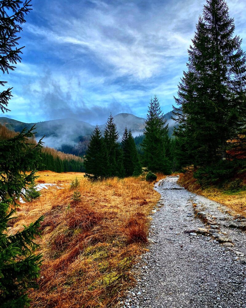 Khám phá Zakopane, thị trấn tuyệt đẹp dưới chân núi Tatra 3