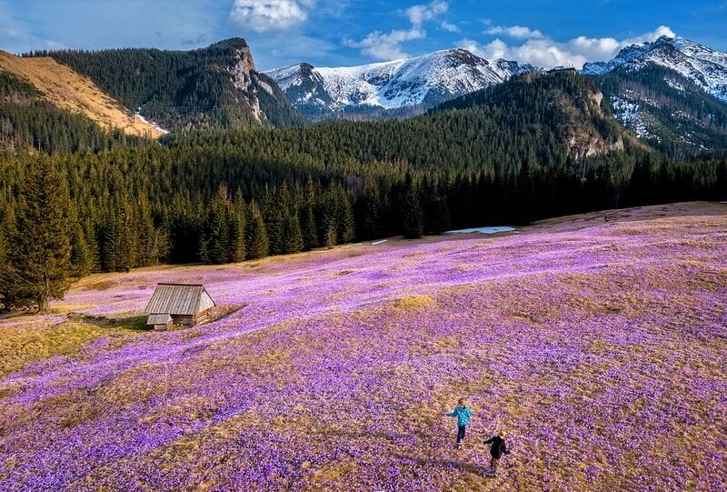 Khám phá Zakopane, thị trấn tuyệt đẹp dưới chân núi Tatra 10