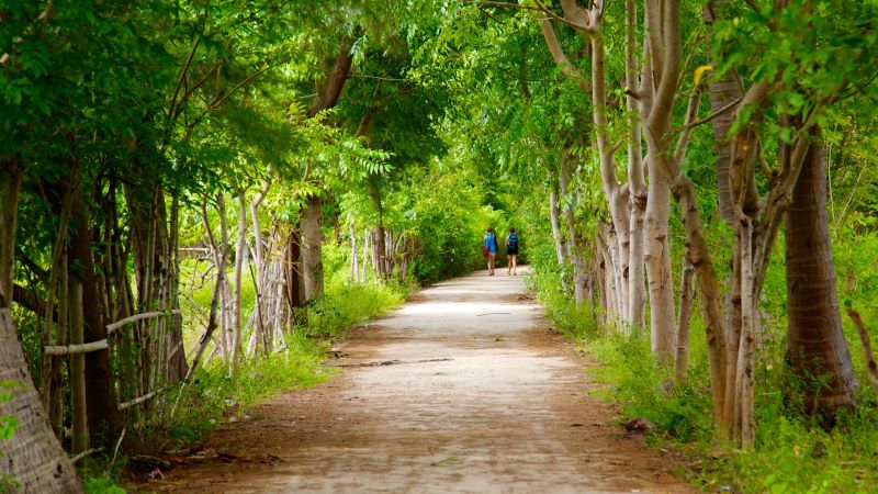 Du ngoạn đảo Gili Trawangan xinh đẹp cùng nhịp sống bình dị 10