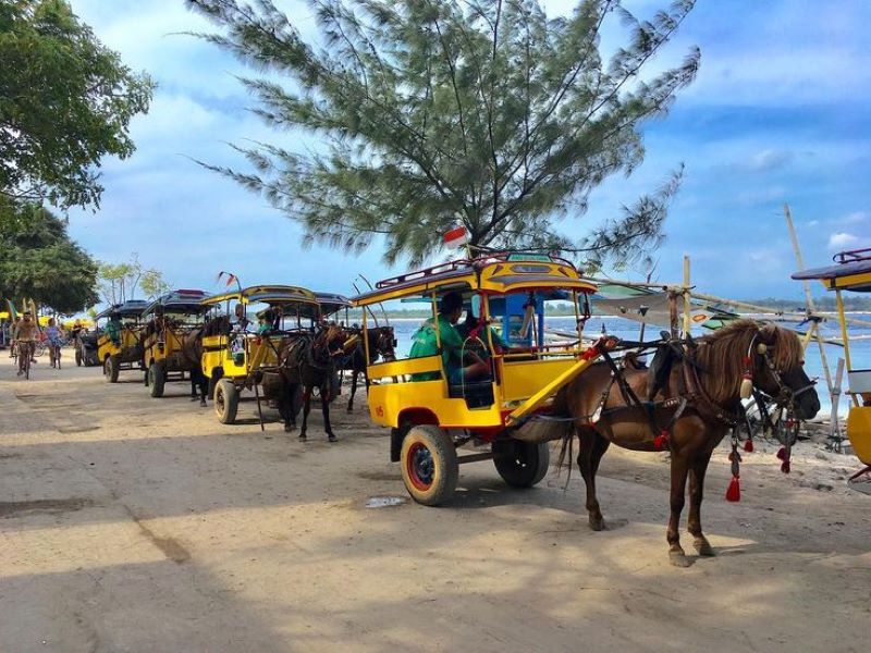 Du ngoạn đảo Gili Trawangan xinh đẹp cùng nhịp sống bình dị 4