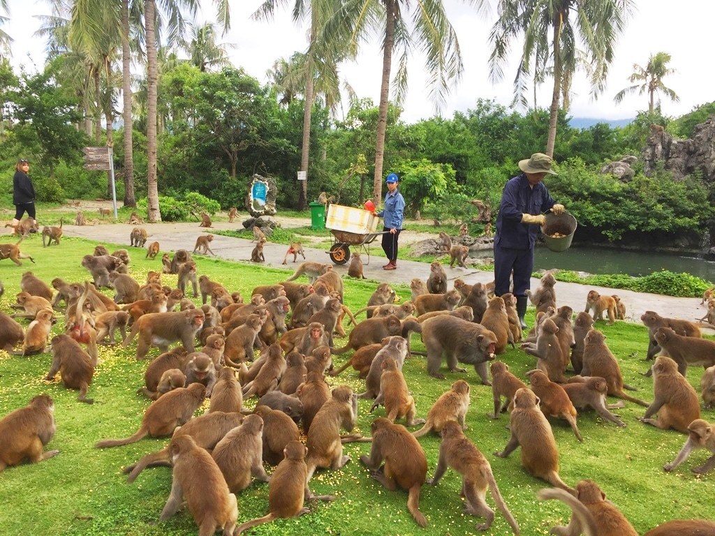 Du ngoạn vòng quanh 8 hòn đảo đẹp chất ngất tại Nha Trang 12