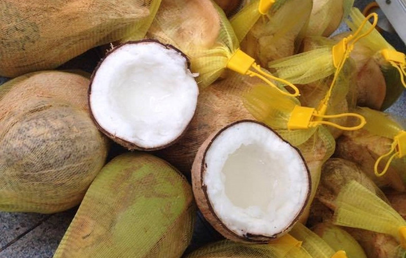 Đặc sản dừa sáp Trà Vinh và những cách chế biến chuẩn miền Tây 8