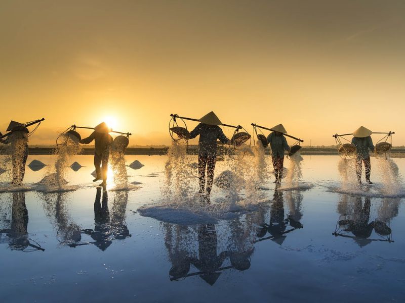 Đức Phổ Quảng Ngãi có gì đẹp? Gợi ý điểm tham quan nổi bật 6