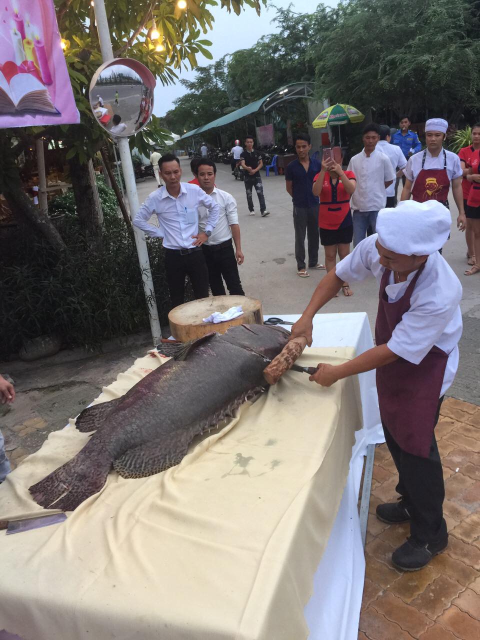 Dùng bữa giữa không gian gần gũi thiên nhiên tại nhà hàng hải sản Vạn Chài 6