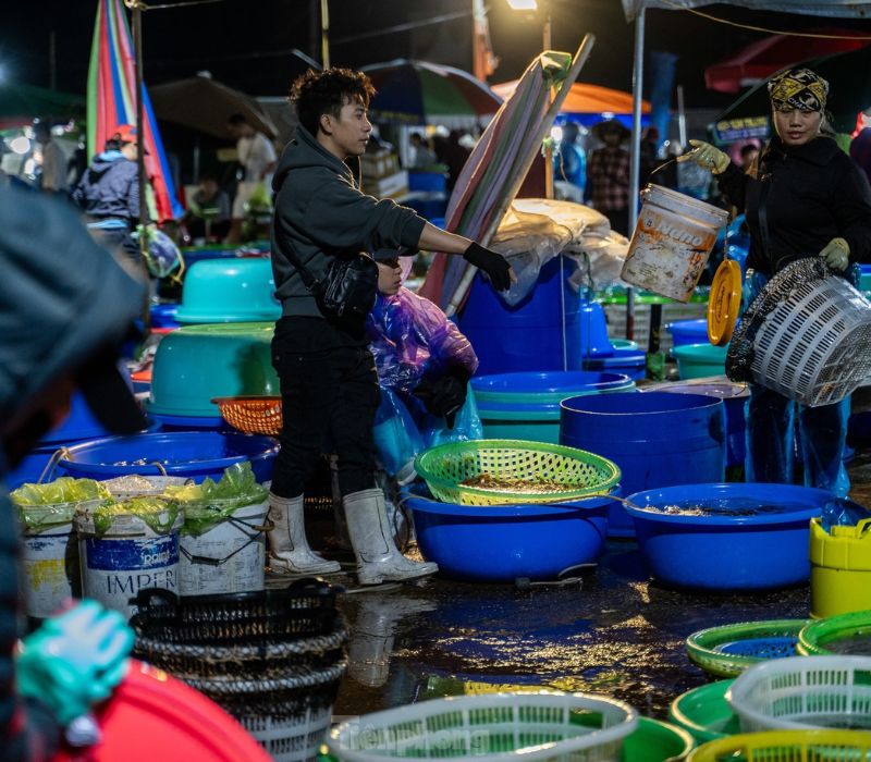 Cung đường bao biển Trần Quốc Nghiễn triệu đô đẹp nhất Hạ Long có gì? 9
