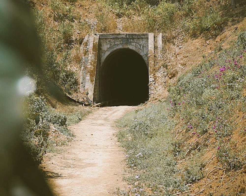 Đường hầm xe lửa cổ Đà Lạt - Địa điểm check in nổi tiếng tại Đà Lạt 3