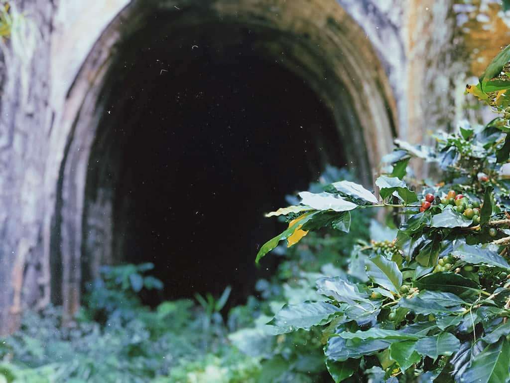 Đường hầm xe lửa cổ Đà Lạt - Địa điểm check in nổi tiếng tại Đà Lạt 5