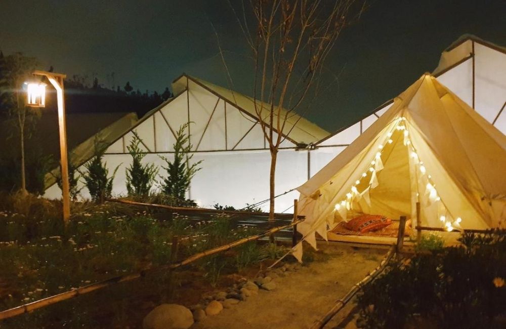 Eco-Dream Farmstay, thiên đường nghỉ dưỡng kết hợp trang trại trồng rau bên hông thành phố 5