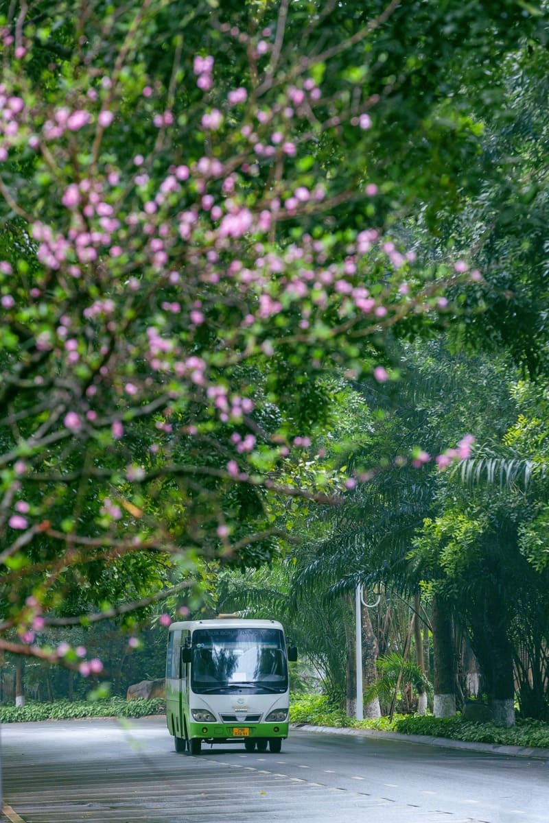 Ecopark Hưng Yên: Không gian xanh thời thượng liền kề thủ đô 8