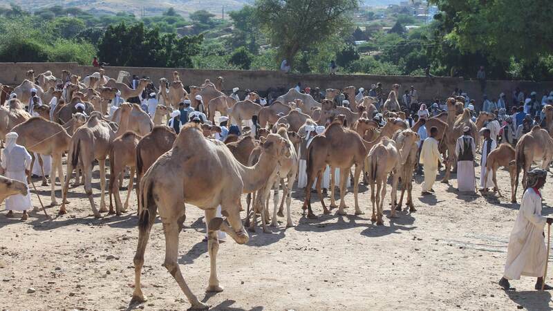 Du lịch Eritrea, quốc gia nguyên sơ bên bờ Biển Đỏ 8