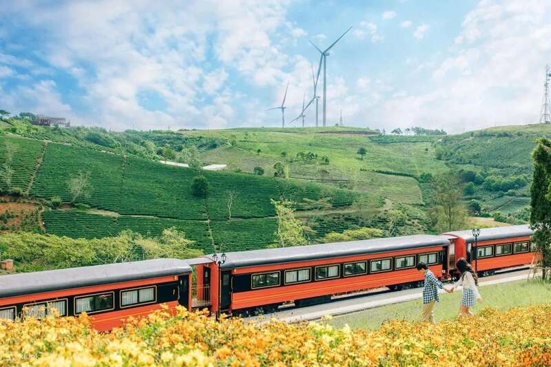 Euro Garden Cầu Đất, check-in góc trời Âu giữa đồi chè 5