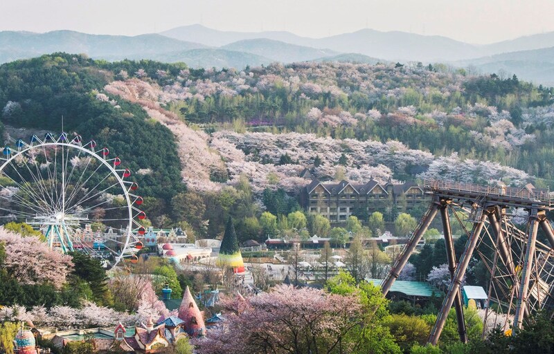 Giải trí tại Everland Hàn Quốc với nhiều trải nghiệm cực kỳ ấn tượng 3