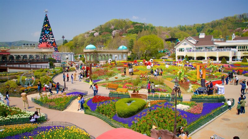 Giải trí tại Everland Hàn Quốc với nhiều trải nghiệm cực kỳ ấn tượng 4