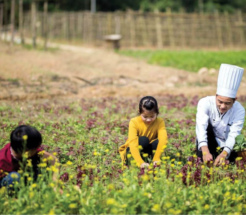 Farmstay là gì? Điểm danh 8 farmstay đáng thử nhất tại Việt Nam 5